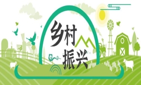 【中医药助力乡村振兴】甘肃庄浪：丹参花开产业兴