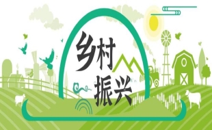 【中医药助力乡村振兴】福建明溪县：一株中草药 林下巧生“金”