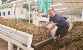 【中医药助力乡村振兴】重庆垫江：变草为宝种出致富路