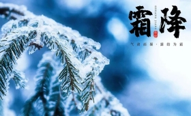 二十四节气之霜降丨一朝秋暮，遍地霜华