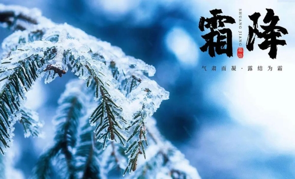 二十四节气之霜降丨一朝秋暮，遍地霜华