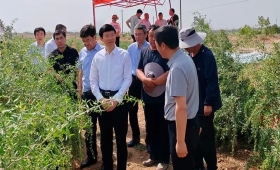 国家药监局党组书记、局长李利在宁夏调研中药监管和质量提升工作