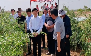 国家药监局党组书记、局长李利在宁夏调研中药监管和质量提升工作