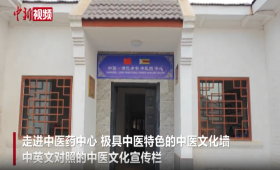 诊疗万余人，中津中医药中心“妙灸神针”造福非洲民众