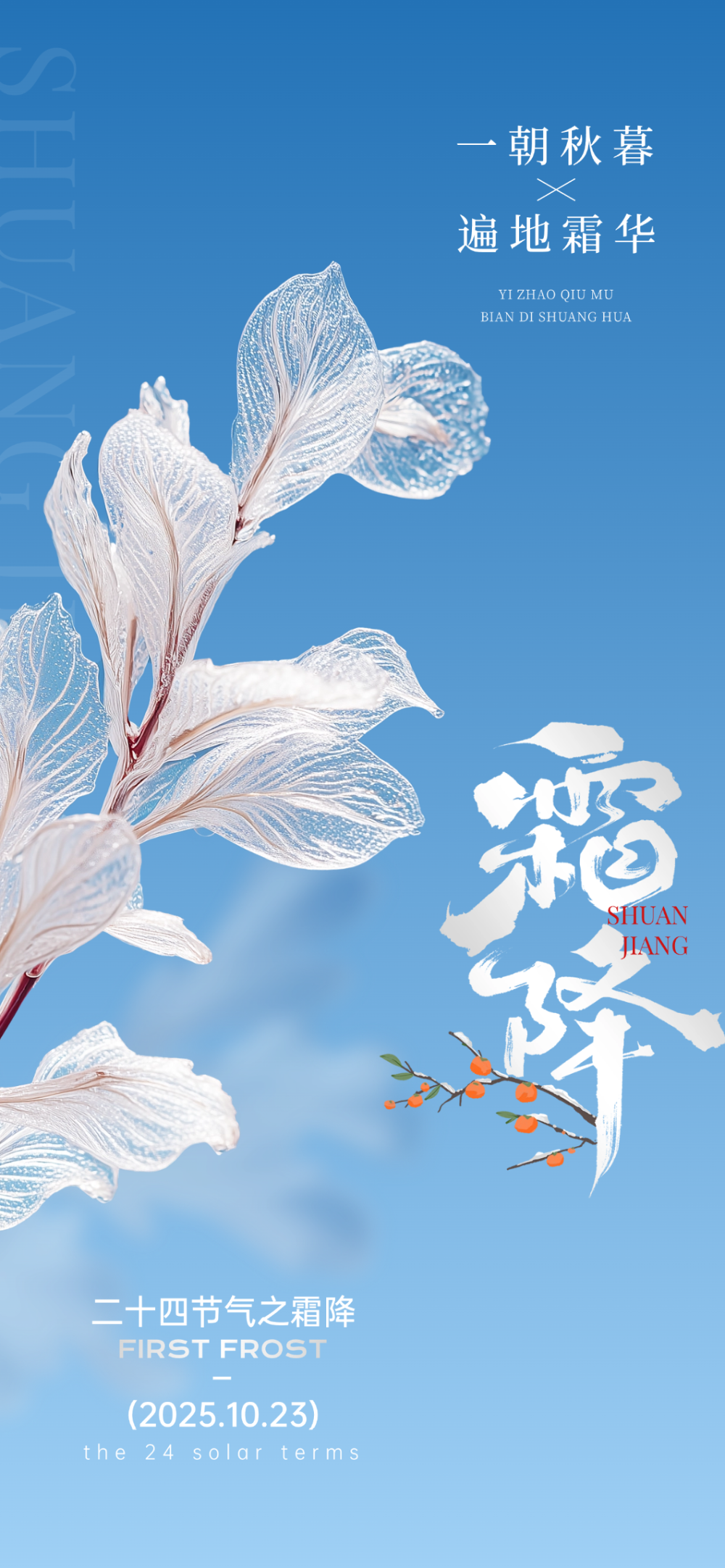 3bcd2da867fc29af6e0ec44909edf0f4 3bcd2da867fc29af6e0ec44909edf0f4