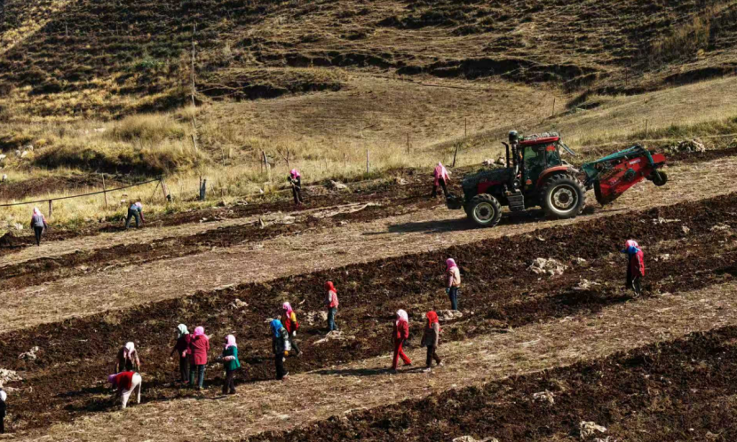 456a21cd578671fe7aa43cbec0710549