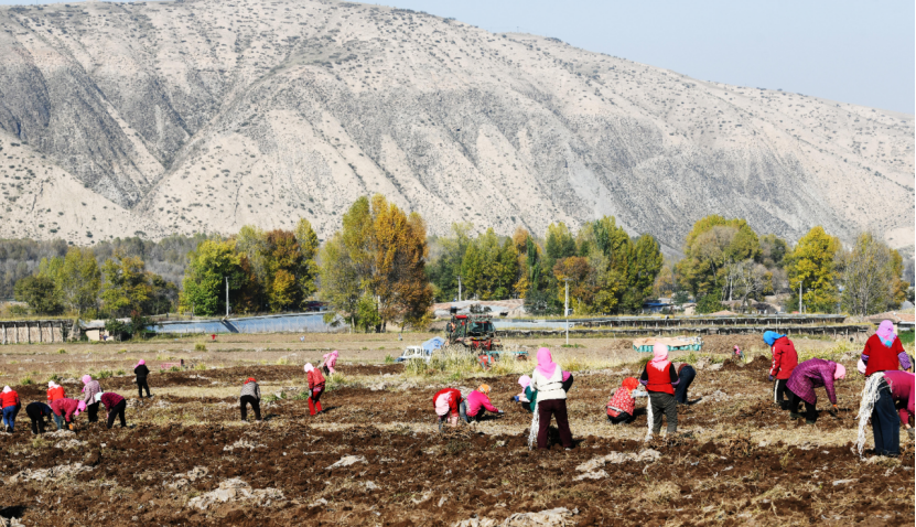 899763d49cc3b6f495e248418def18db